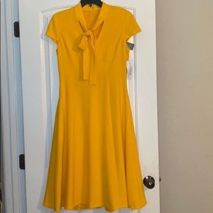 Eva Mendes-New York & Company Tie Front Dress